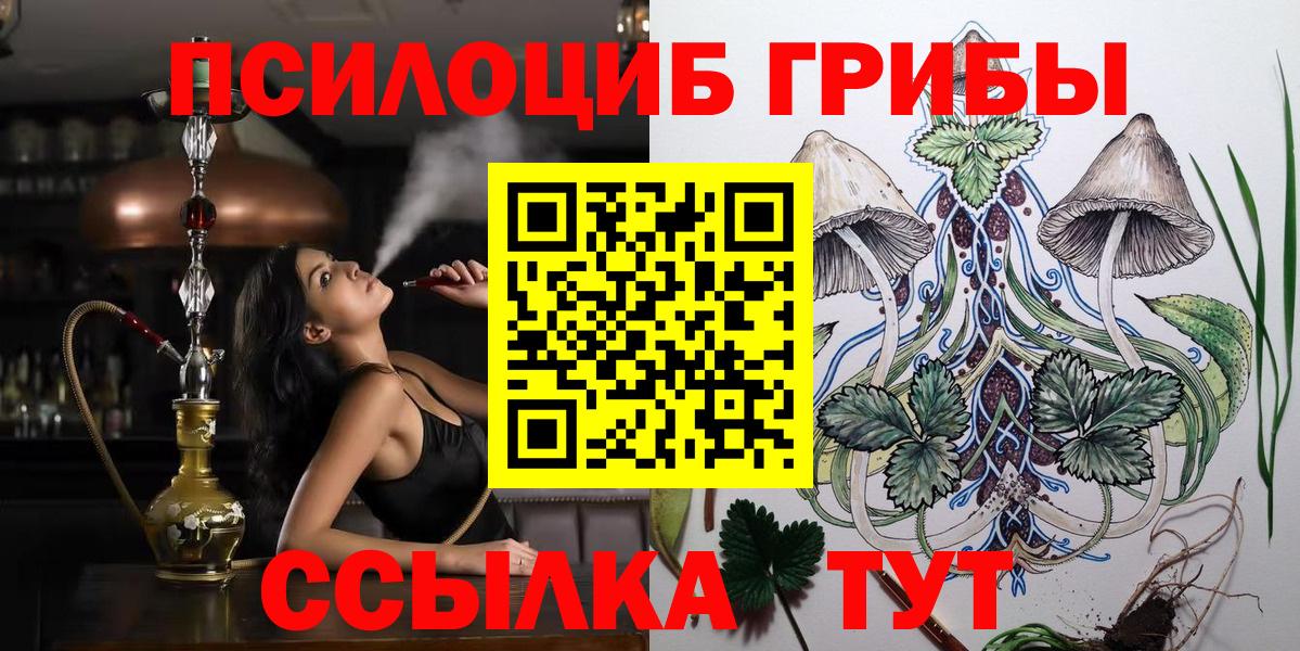 Долгопрудный  Галлюциногенные грибы Cubensis  Вход с VPN 